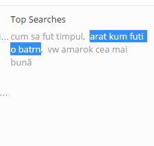 top searches