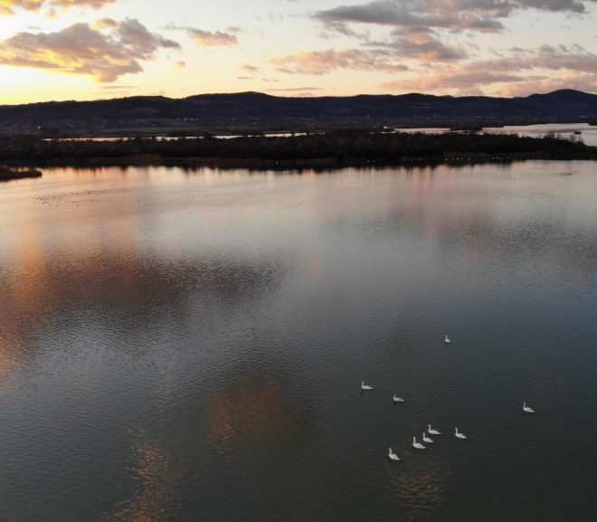 Apa e informație, deci