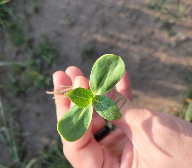 Felicitări românilor că nu mai sunt atât de fraieri