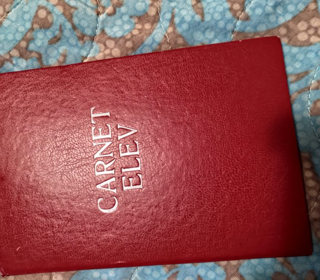 Contează la ceva notele din școală?