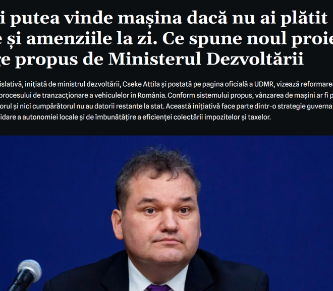 Joaca de-a descoperirea din fundul curții