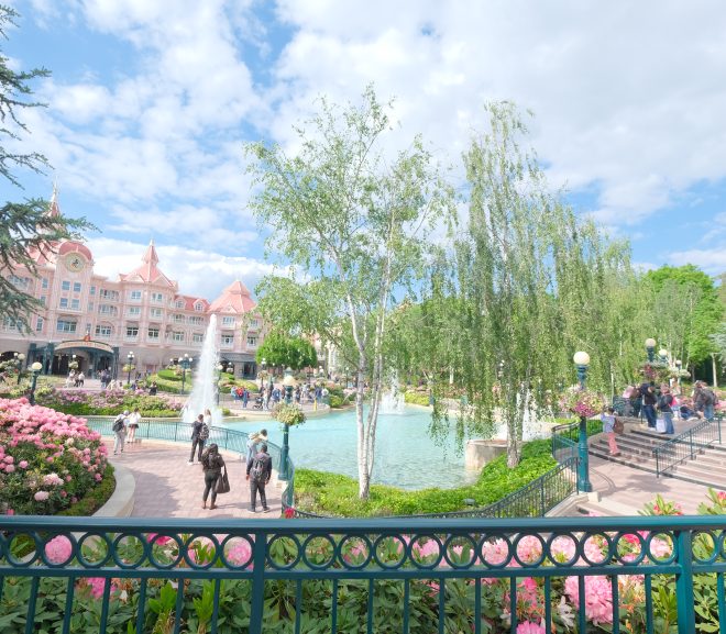 Disneyland – post scriptum