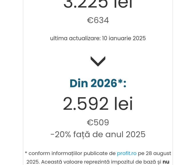 Aho -aho de anul nou. Poluatorul plătește!