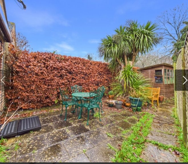 Pulsul #2026 – chirii prin oraș