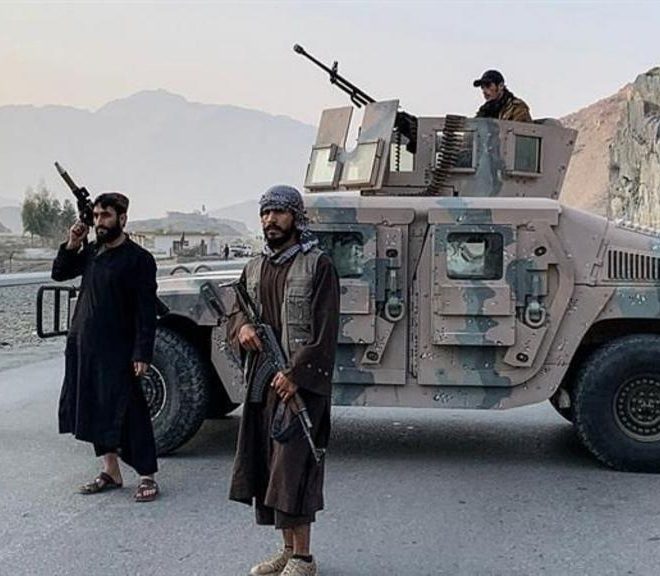 Scurt: Fitile de papugii