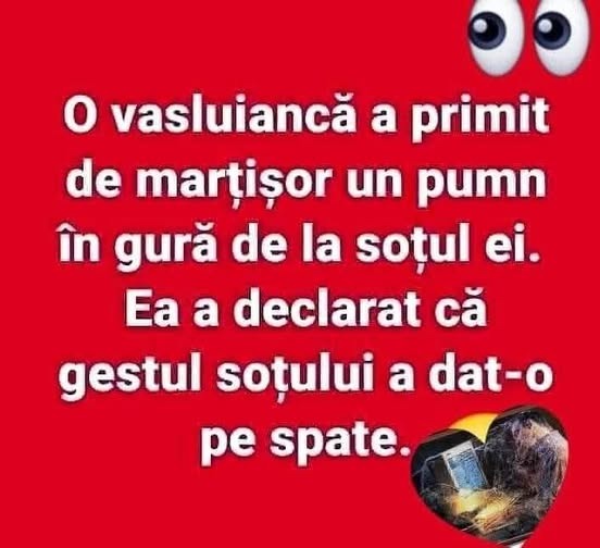 Institutul national de statistică – sondaj de opinie în&nbsp; varianta domestică