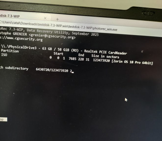 Când ești prost, ești prost #2026