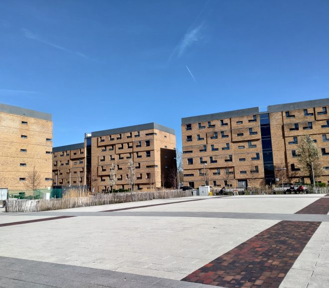 M-am enervat și mi-am spus că vreau să mă fac ministrul învățământului în România