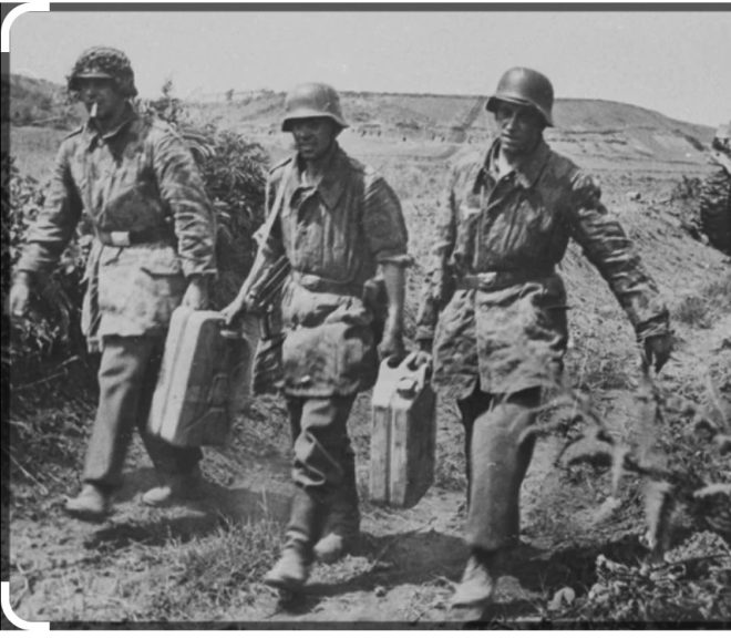 Voiam să îmi cumpar un gerican, dar acuma mi-e frică