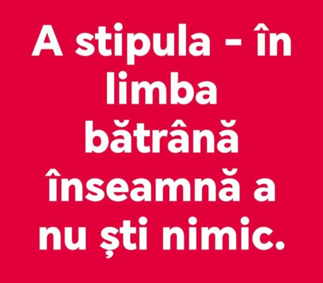 Intr-o lume paralelă / Memento Mori