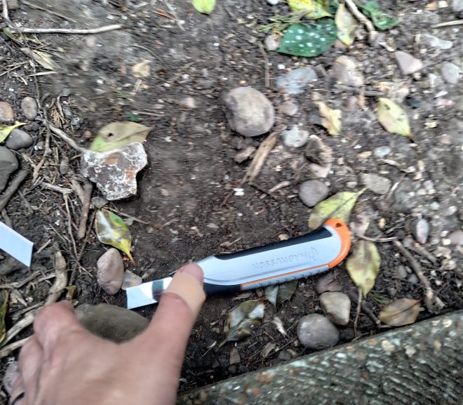 Purtați mănuși de lucru – nu ca mine!