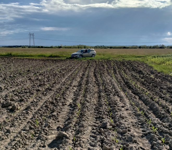 Agro #26Mai: Ze ciorile și porumbul