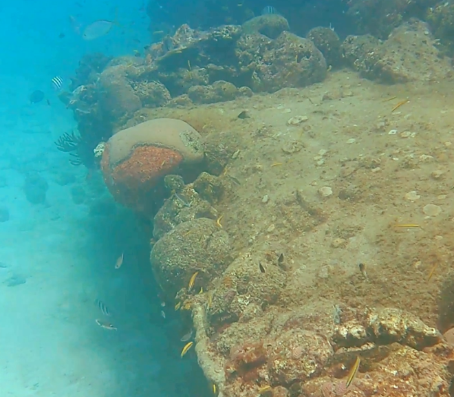 Barbados: Snorka-Snorka + minifreeDive